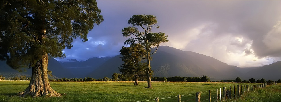 Immagine slider 3